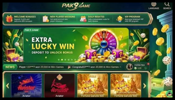Pak9 Game