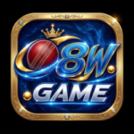 8W Game