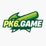 PK6 Game